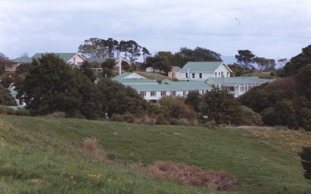Sanitorium (Koha Ora) buildings amongst the trees 1975