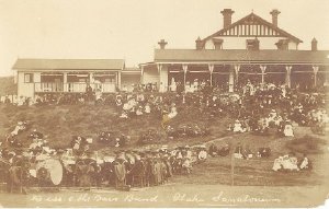 Music and Entertainment